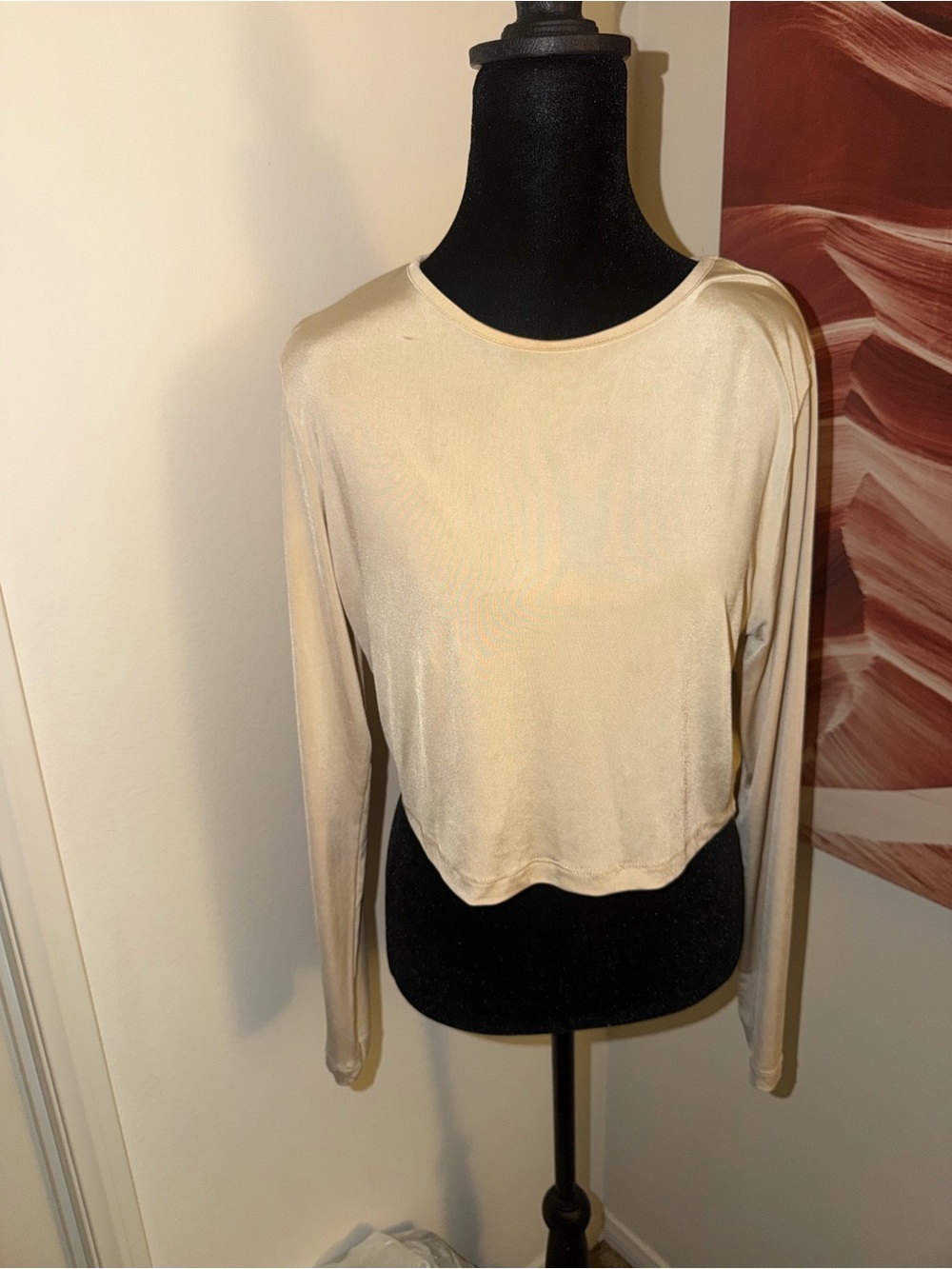PrettyLittleThing Cream Long Sleeve Cropped Top